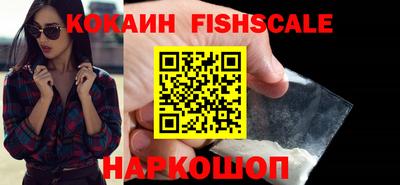 твердый Гатчина