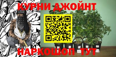 каннабис Гай