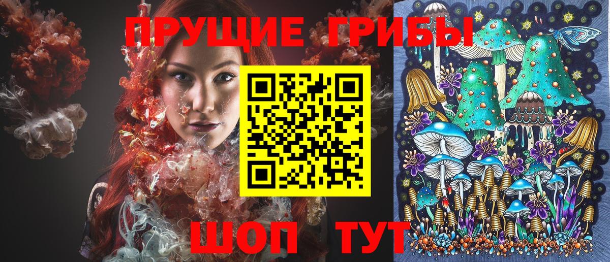 Галлюциногенные грибы Psilocybine cubensis Волхов